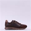 Hispanitas Oregan Bungee Lace Trainer - Espresso Leather